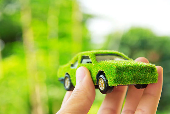 Eco-Friendly Fleet